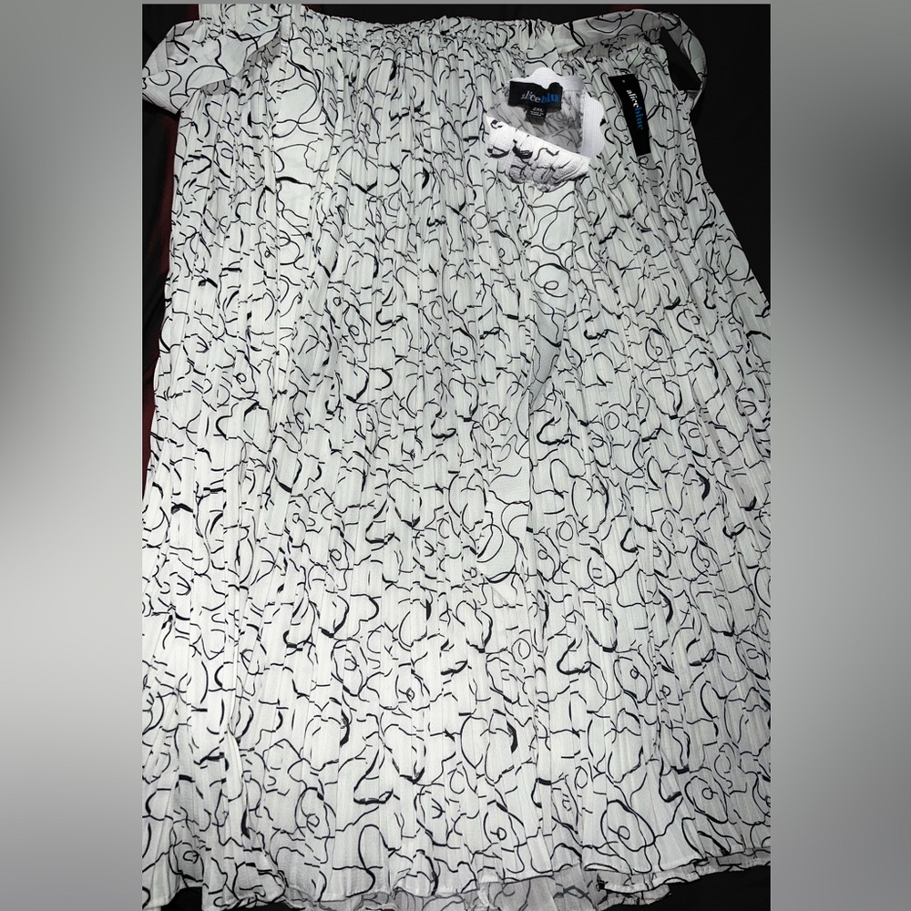 Alice Blue Black and White A-Line Skirt